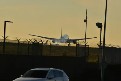 DSC_5712 (Large).JPG